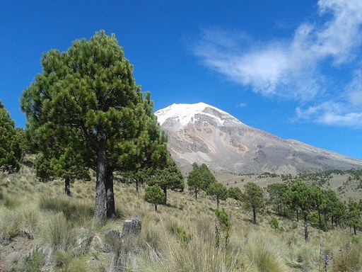 Tour Pico de Orizaba - Ruta Oriental | Turismo de Aventura en las Altas Montañas